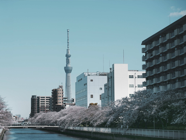 東京旅遊