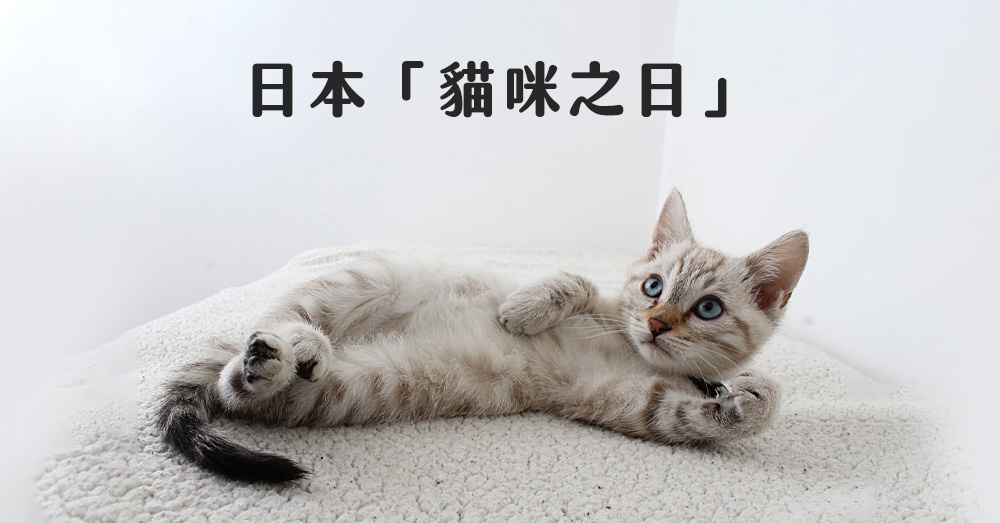 日本貓奴必過的2/22「貓咪之日」！鏟屎官們，你各位都準備好了嗎？